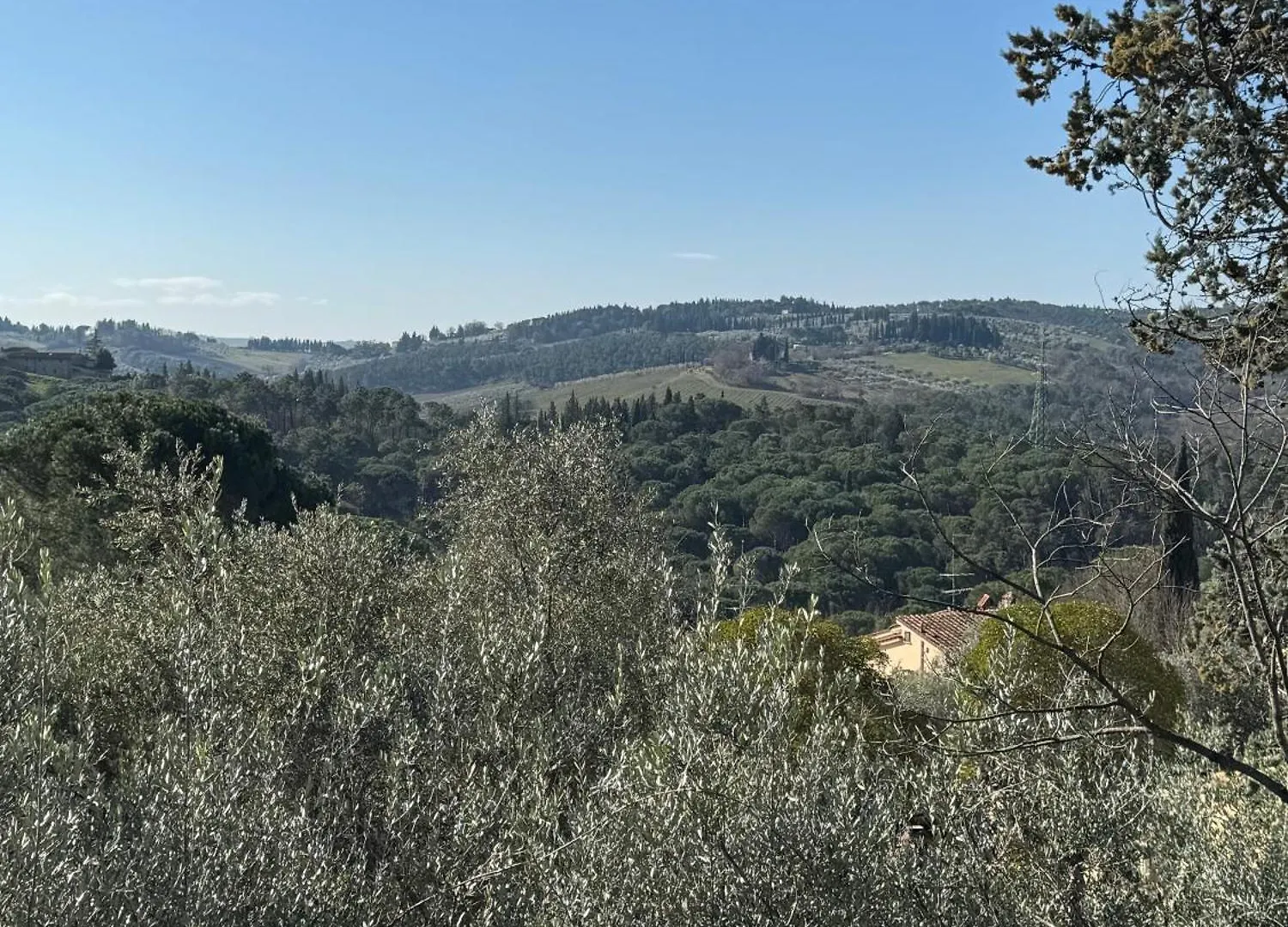 La Limonaia Di Vanna Impruneta