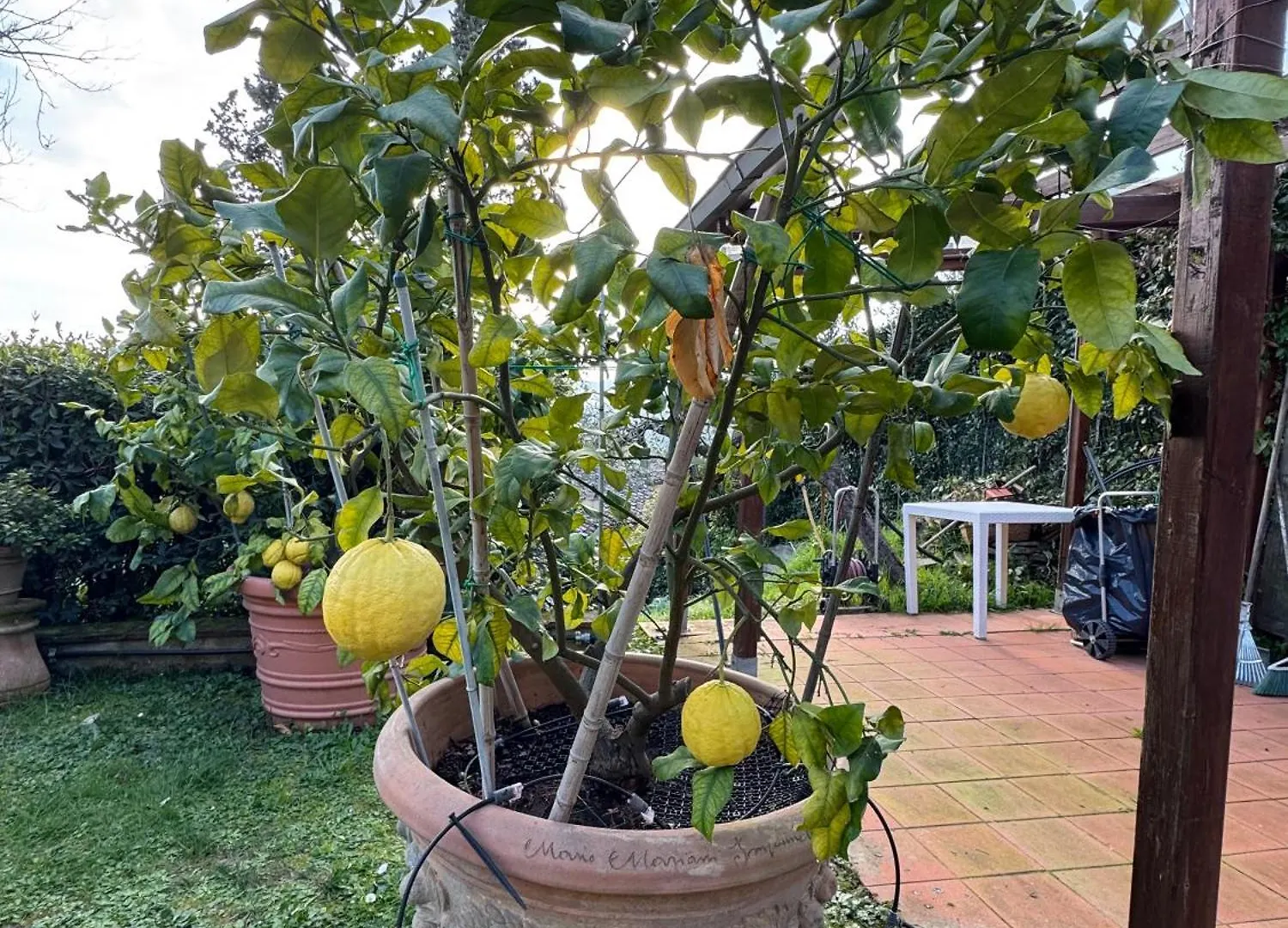 La Limonaia Di Vanna Impruneta