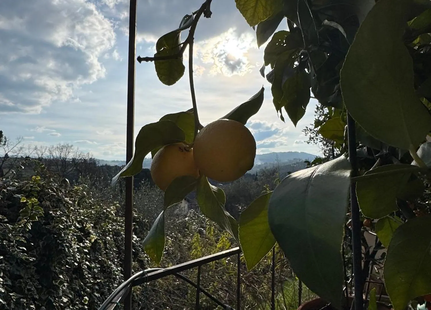 Сasa de vacaciones La Limonaia Di Vanna Impruneta
