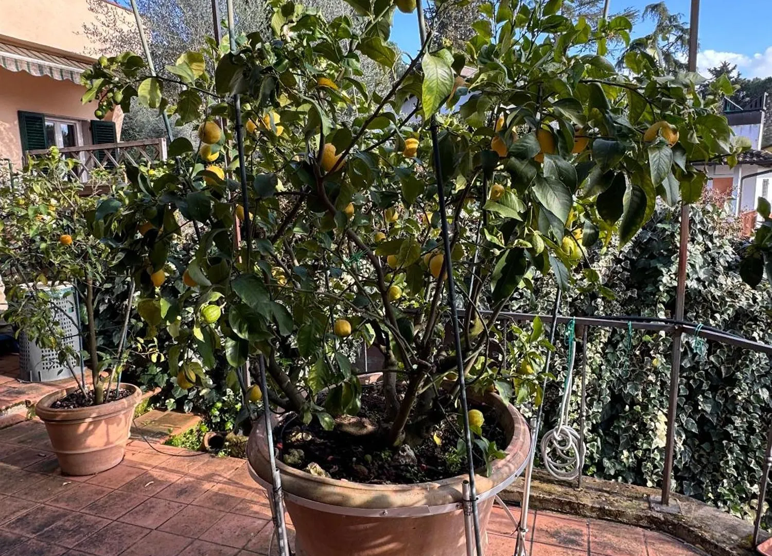 La Limonaia Di Vanna Impruneta 0*,  Italia