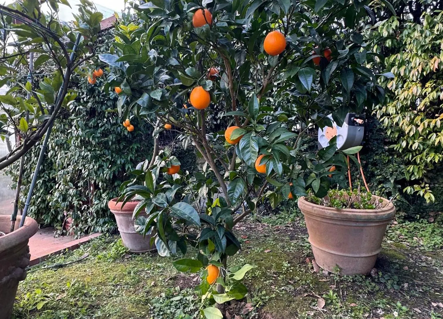 La Limonaia Di Vanna Impruneta Сasa de vacaciones