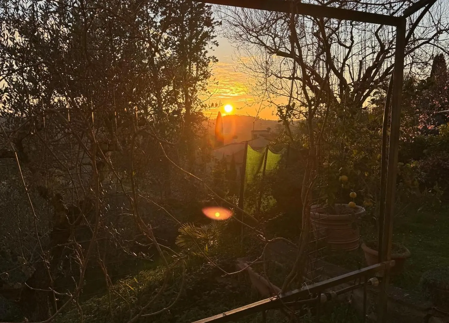 La Limonaia Di Vanna Impruneta