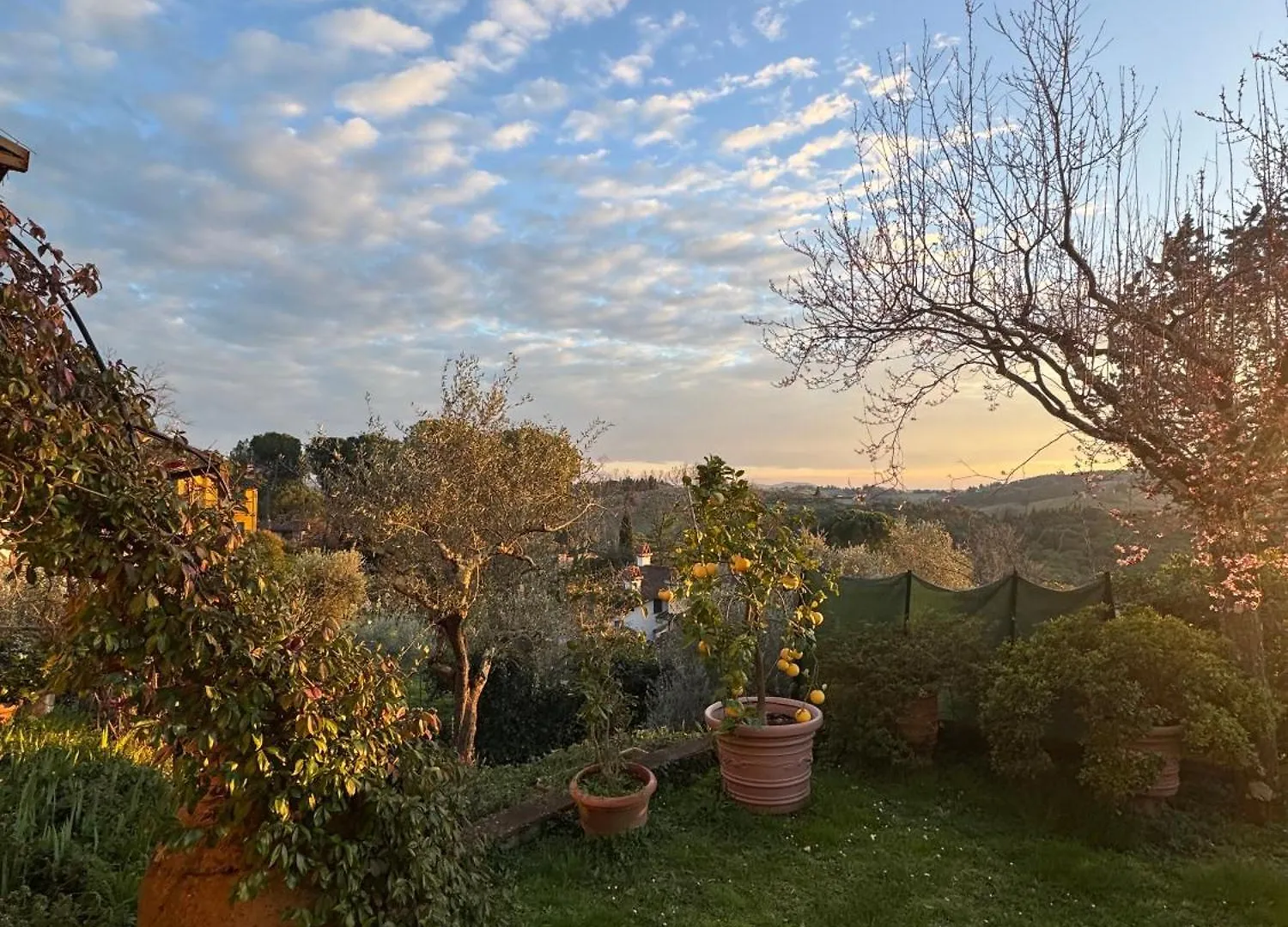 La Limonaia Di Vanna Impruneta
